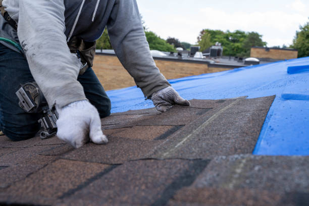 Best Roof Repair Specialists  in Vinton, VA